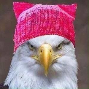 Meet your Posher, Deann